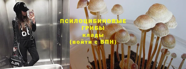 стафф Надым