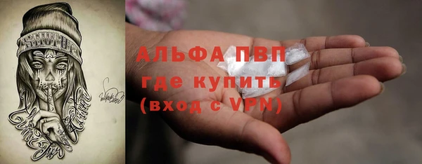 стафф Надым