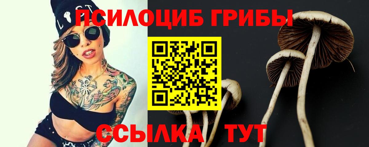 Псилоцибиновые грибы мицелий  Вход с VPN  Кириши 