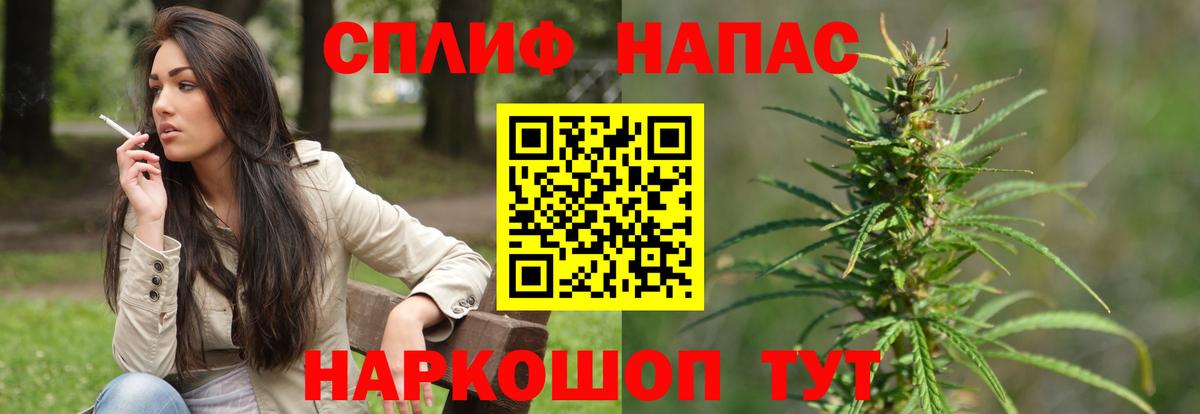 Каннабис планчик  Кириши  Конопля THC 21%  Бошки марихуана THC 21% 